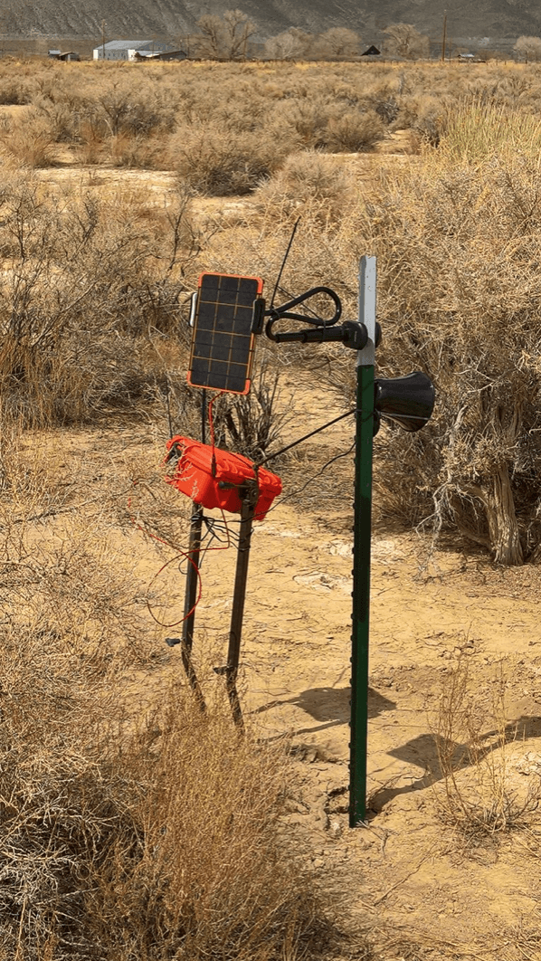 Connected Bird Call installed in the field