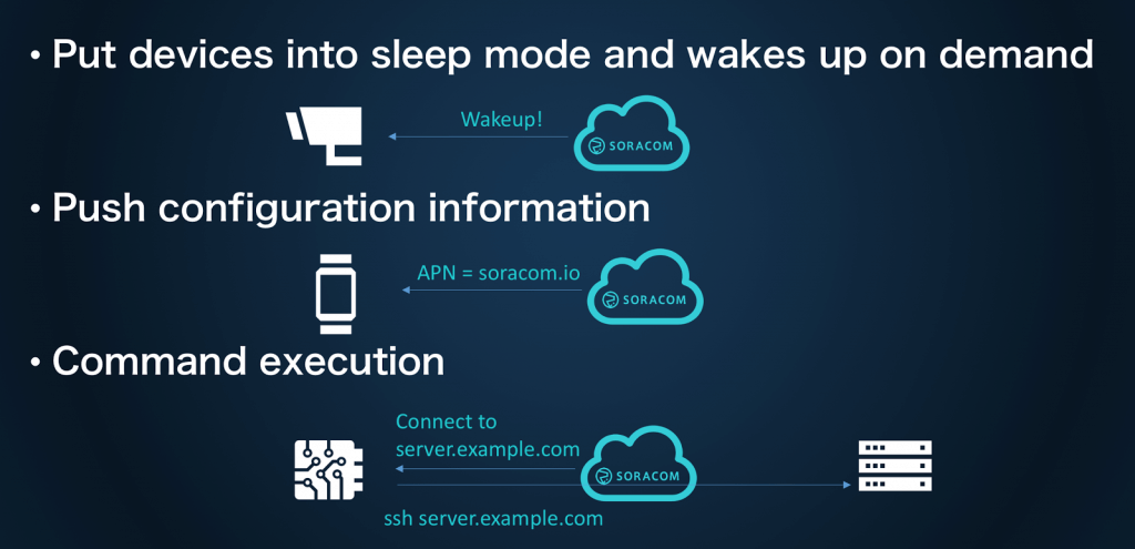 Remote Command Execution