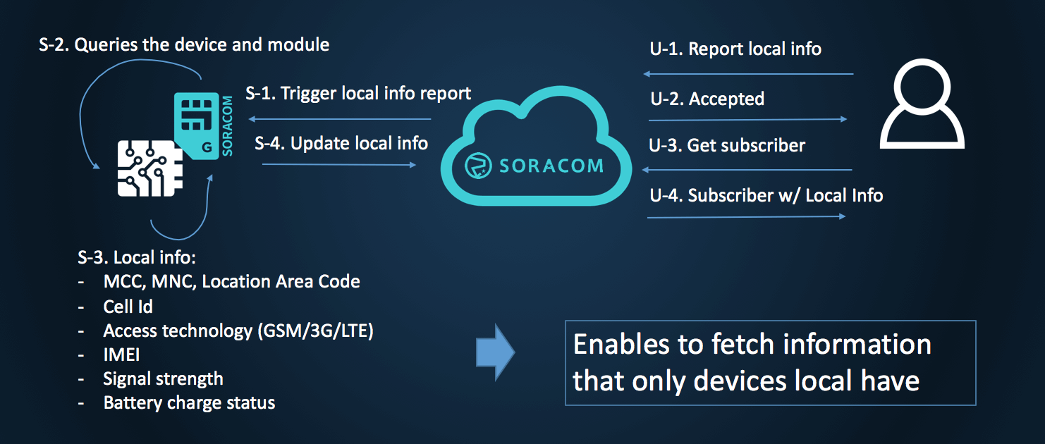 Flow to fetch SIM local information report