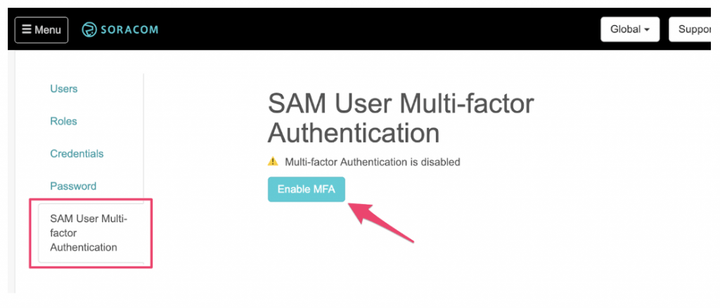 multi function authentication