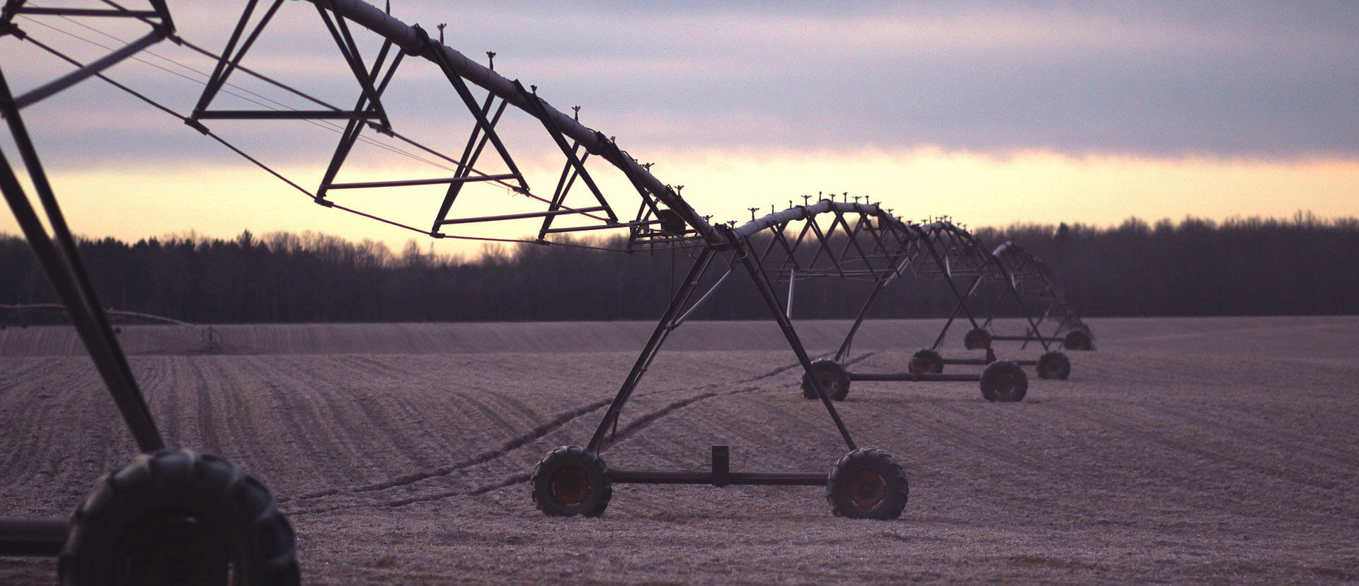 IoT can even automate the irrigation system