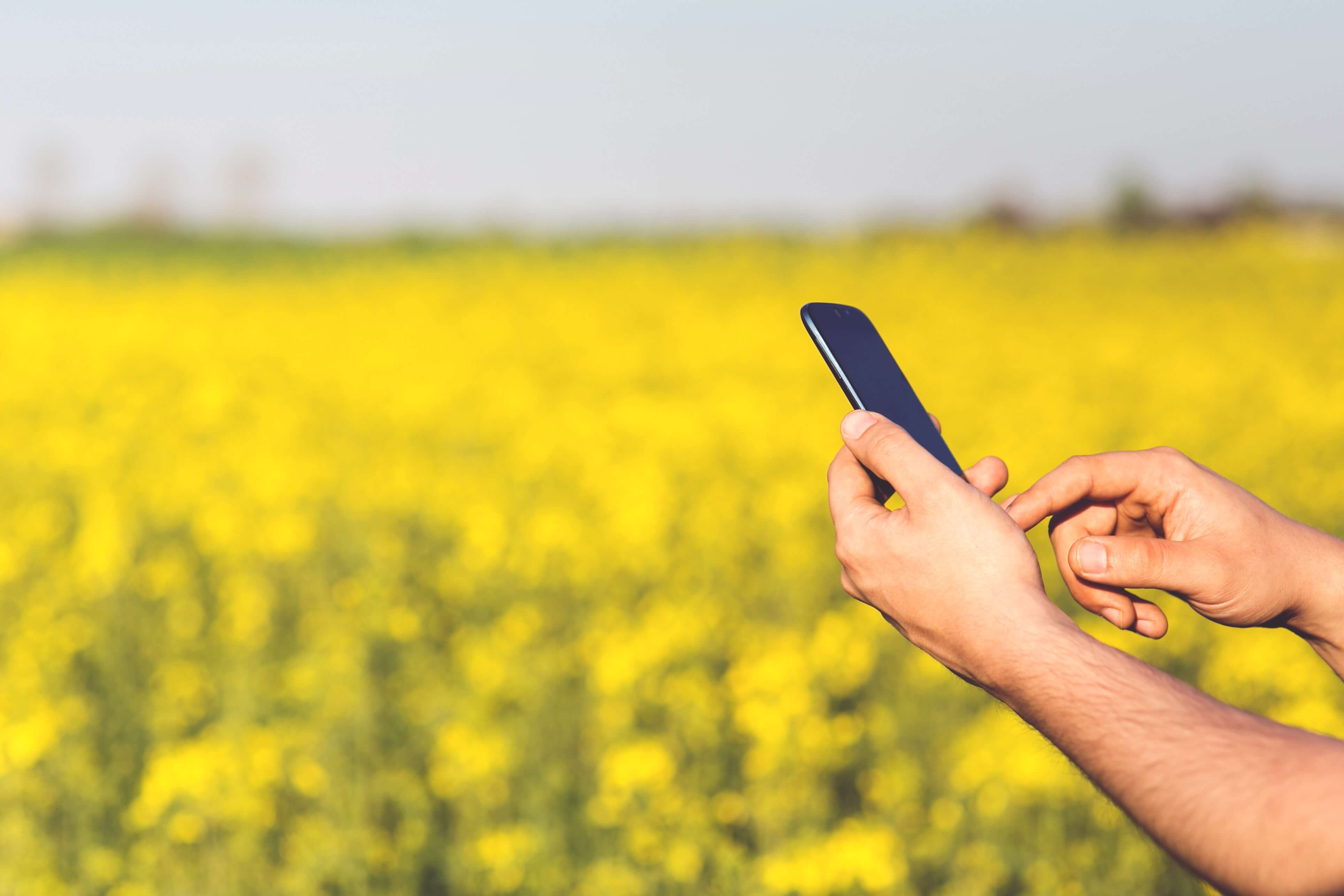 Smart Farming / Agriculture