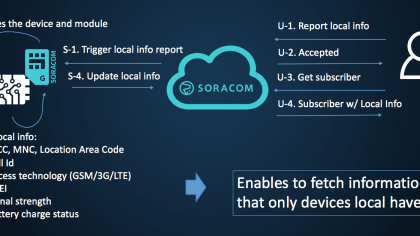 Flow to fetch SIM local information report