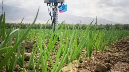 Hortau IoT irrigation